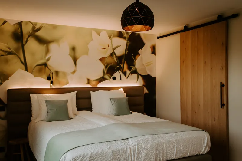 Kamer Campanula