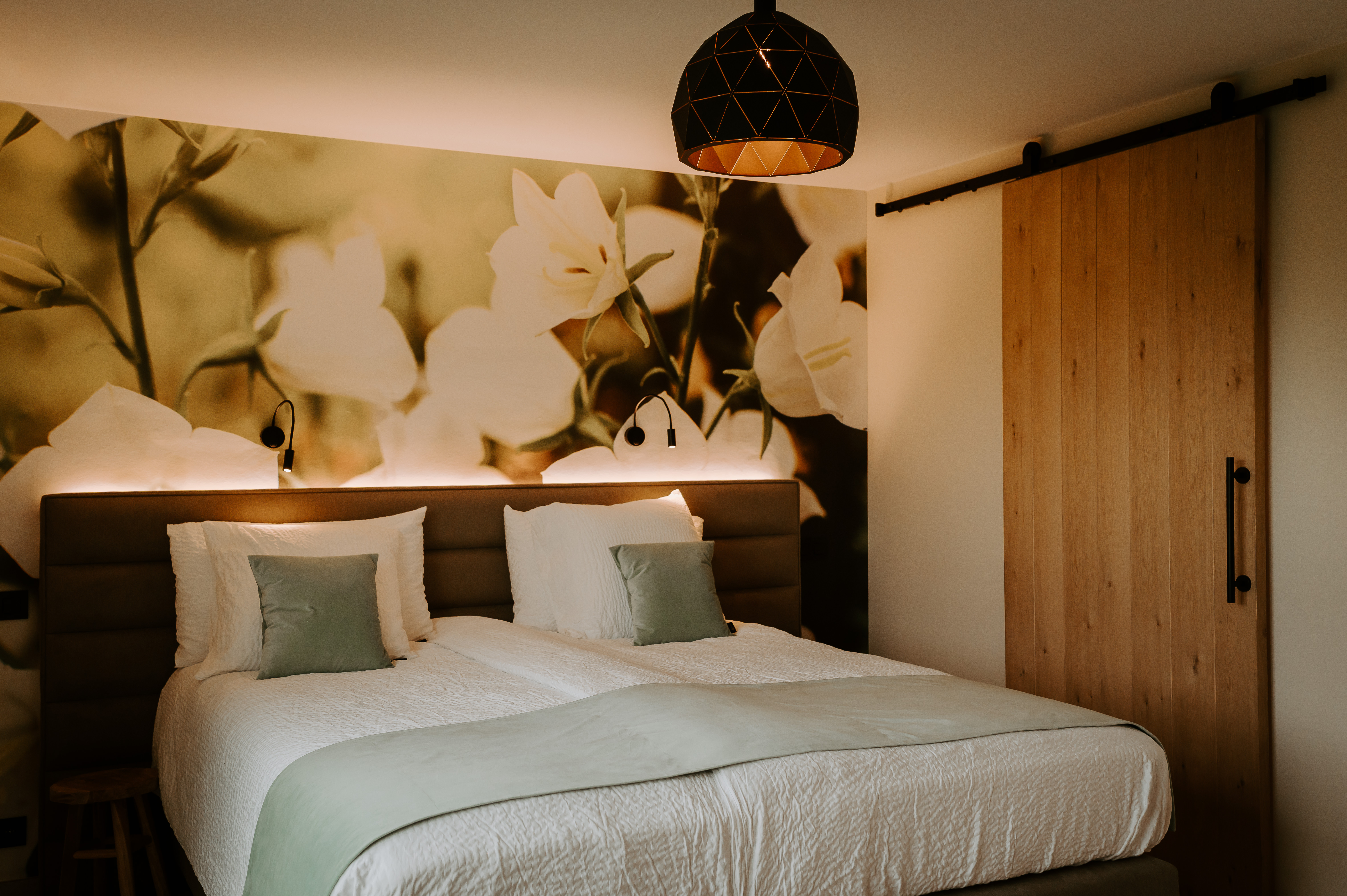 Kamer Campanula
